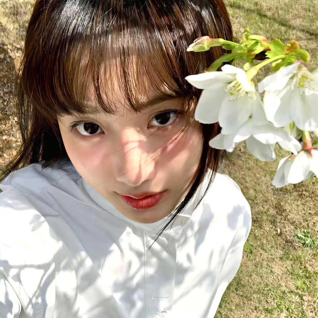 旦丁 在线观看